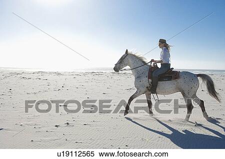 Horseriding in the sand View Large Photo Image Stock Photography - Horseriding in the sand. Fotosearch
