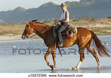 Horseriding in the water View Large Photo Image Stock Photography - Horseriding in the water. Fotosearch