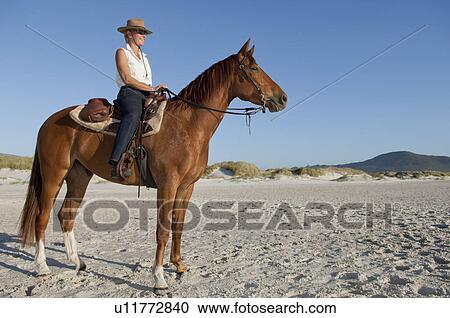Horseriding on the beach View Large Photo Image Stock Image - Horseriding on the beach. Fotosearch