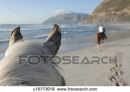 Horseriding on the beach View Large Photo Image Stock Photo - Horseriding on the beach. Fotosearch