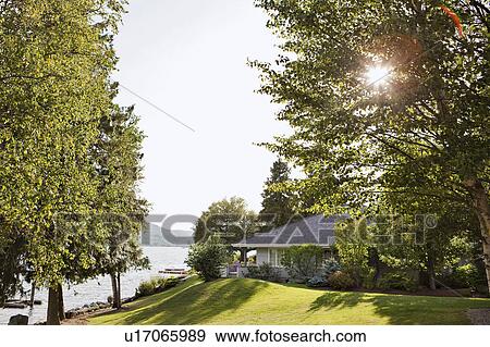 House with trees on lake View Large Photo Image Stock Photo - House with trees on lake. Fotosearch