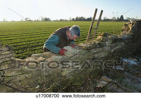 Man building wall View Large Photo Image Stock Image - Man building wall. Fotosearch
