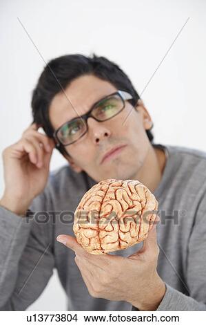 Man holding model brain, thinking View Large Photo Image Picture - Man holding model brain, thinking. Fotosearch
