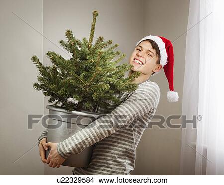 Man holding small christmas tree View Large Photo Image Picture - Man holding small christmas tree. Fotosearch
