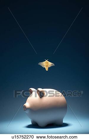 Moth flying out of piggy bank View Large Photo Image Stock Image - Moth flying out of piggy bank. Fotosearch