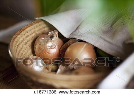 Onions in bowl View Large Photo Image Stock Photograph - Onions in bowl. Fotosearch