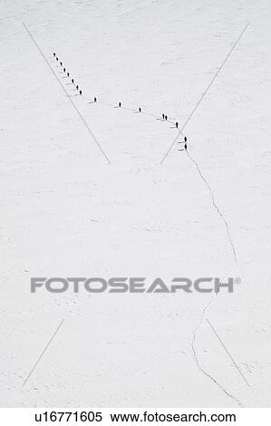 People walking in snow covered field View Large Photo Image Stock Photography - People walking in snow covered field. Fotosearch
