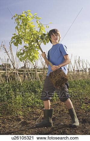 Stock Image - Pre-adolescent boy holding tree. Fotosearch