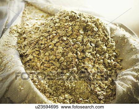 Stock Photography - Sack of hops in brewery. Fotosearch