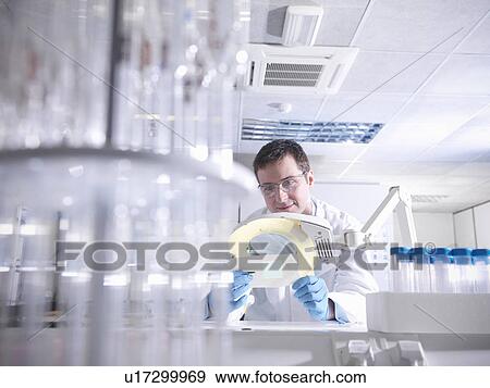 Scientist inspects product in laboratory View Large Photo Image Stock Photo - Scientist inspects product in laboratory. Fotosearch