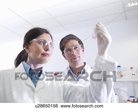 Stock Photograph - Scientists with sample in laboratory. Fotosearch
