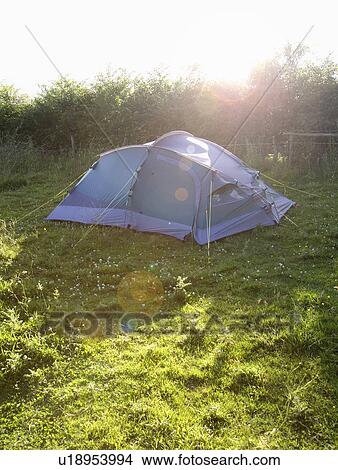 Small tent pitched in field View Large Photo Image Picture - Small tent pitched in field. Fotosearch