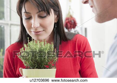 Stock Photograph - Smelling a plant of thymus while cooking. Fotosearch