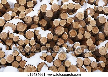 Snow covered sawn logs View Large Photo Image Stock Image - Snow covered sawn logs. Fotosearch