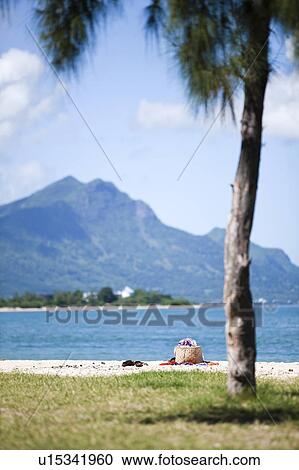 Tote bag on beach with palm tree View Large Photo Image Stock Image - Tote bag on beach with palm tree. Fotosearch