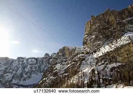 Trees in snowy mountain landscape View Large Photo Image Stock Image - Trees in snowy mountain landscape. Fotosearch