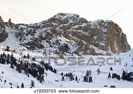 Trees in snowy mountain landscape View Large Photo Image Stock Image - Trees in snowy mountain landscape. Fotosearch