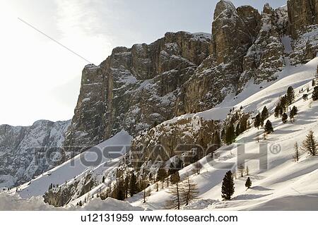 Stock Photo - Trees in snowy mountain landscape. Fotosearch