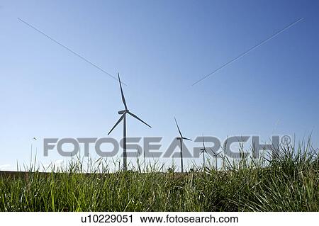 Stock Image - Wind turbines in field. Fotosearch