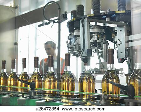 Wine bottles in plant View Large Photo Image Picture - Wine bottles in plant. Fotosearch