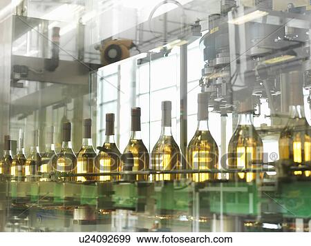 Wine bottles in plant View Large Photo Image Stock Photo - Wine bottles in plant. Fotosearch