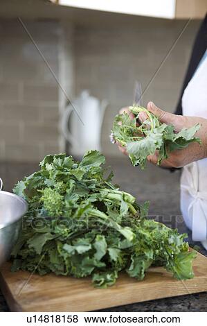 Stock Photo - Woman cutting vegetables. Fotosearch