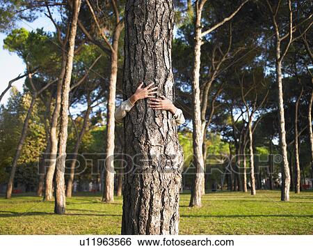 Stock Photograph - Woman hugging a tree. Fotosearch