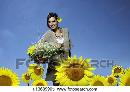 Woman in sunflower field View Large Photo Image Stock Photography - Woman in sunflower field. Fotosearch