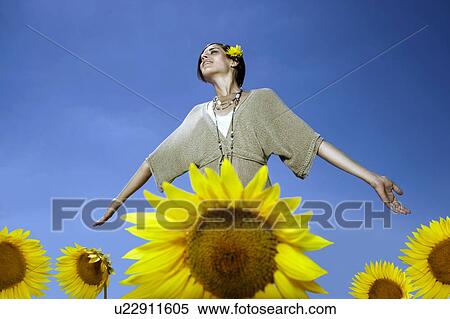 Woman in sunflower field View Large Photo Image Stock Photography - Woman in sunflower field. Fotosearch