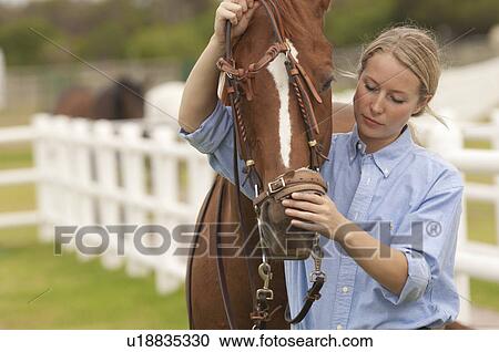 Stock Image - Woman putting reins on a horse. Fotosearch