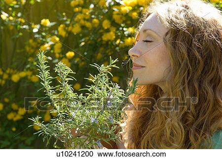 Woman smelling herbs in backyard View Large Photo Image Stock Image - Woman smelling herbs in backyard. Fotosearch