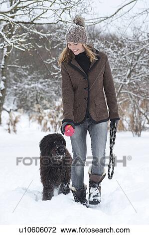 Woman walking dog in snow View Large Photo Image Stock Image - Woman walking dog in snow. Fotosearch