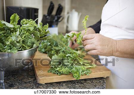 Woman washing vegetables View Large Photo Image Stock Image - Woman washing vegetables. Fotosearch
