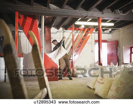 Stock Image - Worker emptying sack of grain in brewery. Fotosearch