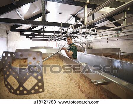 Stock Image - Worker in brewery fermentation room. Fotosearch