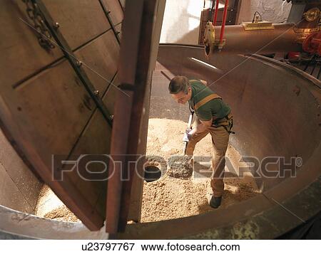 Stock Photo - Worker shovelling used hops in brewery. Fotosearch
