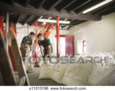 Workers with sacks of grain in brewery View Large Photo Image Stock Photograph - Workers with sacks of grain in brewery. Fotosearch