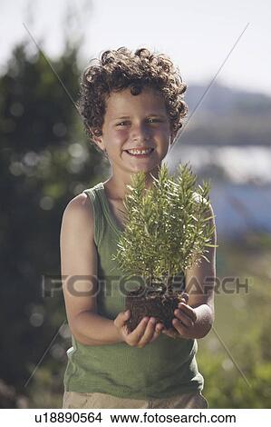 Picture - Young boy holding small plant. Fotosearch