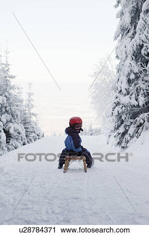 Young boy on sled View Large Photo Image Stock Image - Young boy on sled. Fotosearch