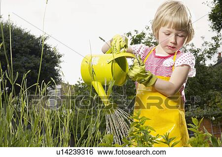 young girl watering garden View Large Photo Image Stock Photograph - young girl watering garden. Fotosearch