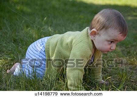 Baby boy crawling in grass View Large Photo Image Stock Photo - Baby boy crawling in grass. Fotosearch