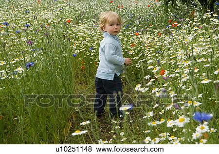 Stock Photo - Baby walking in field of flowers. Fotosearch