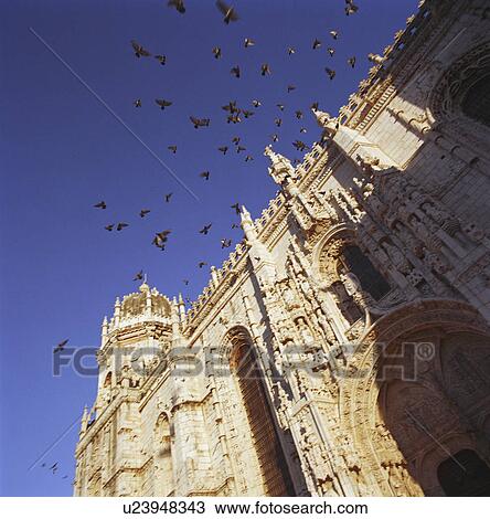 Stock Image - Birds flying over cathedral. Fotosearch