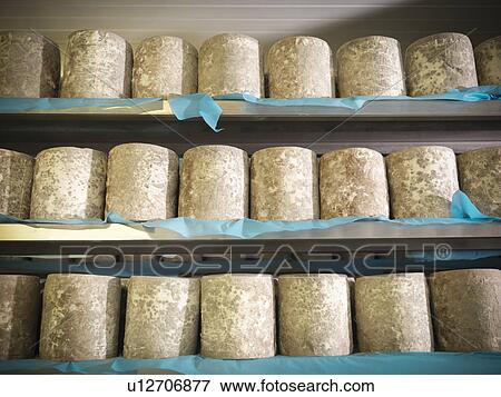 Blue cheese on shelves in factory View Large Photo Image Stock Photo - Blue cheese on shelves in factory. Fotosearch