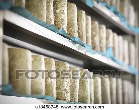 Blue cheese on shelves in factory View Large Photo Image Stock Photo - Blue cheese on shelves in factory. Fotosearch