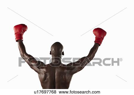 Boxer cheering with fists in air View Large Photo Image Stock Photo - Boxer cheering with fists in air. Fotosearch