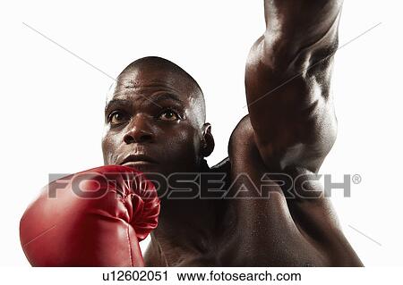 Boxer punching the air View Large Photo Image Stock Image - Boxer punching the air. Fotosearch