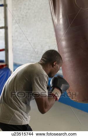 Boxer using punching bag in gym View Large Photo Image Picture - Boxer using punching bag in gym. Fotosearch