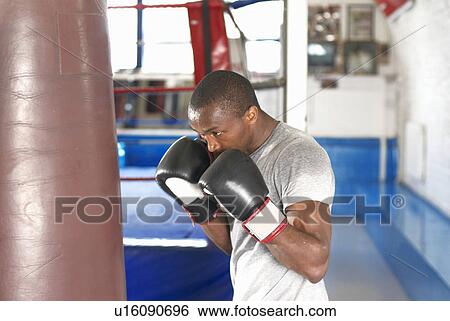Boxer using punching bag in gym View Large Photo Image Stock Photograph - Boxer using punching bag in gym. Fotosearch
