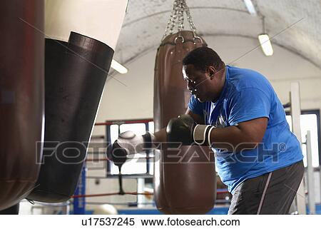 Boxer using punching bag in gym View Large Photo Image Stock Photography - Boxer using punching bag in gym. Fotosearch